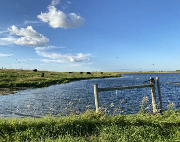 AGRICULTURE NEWS